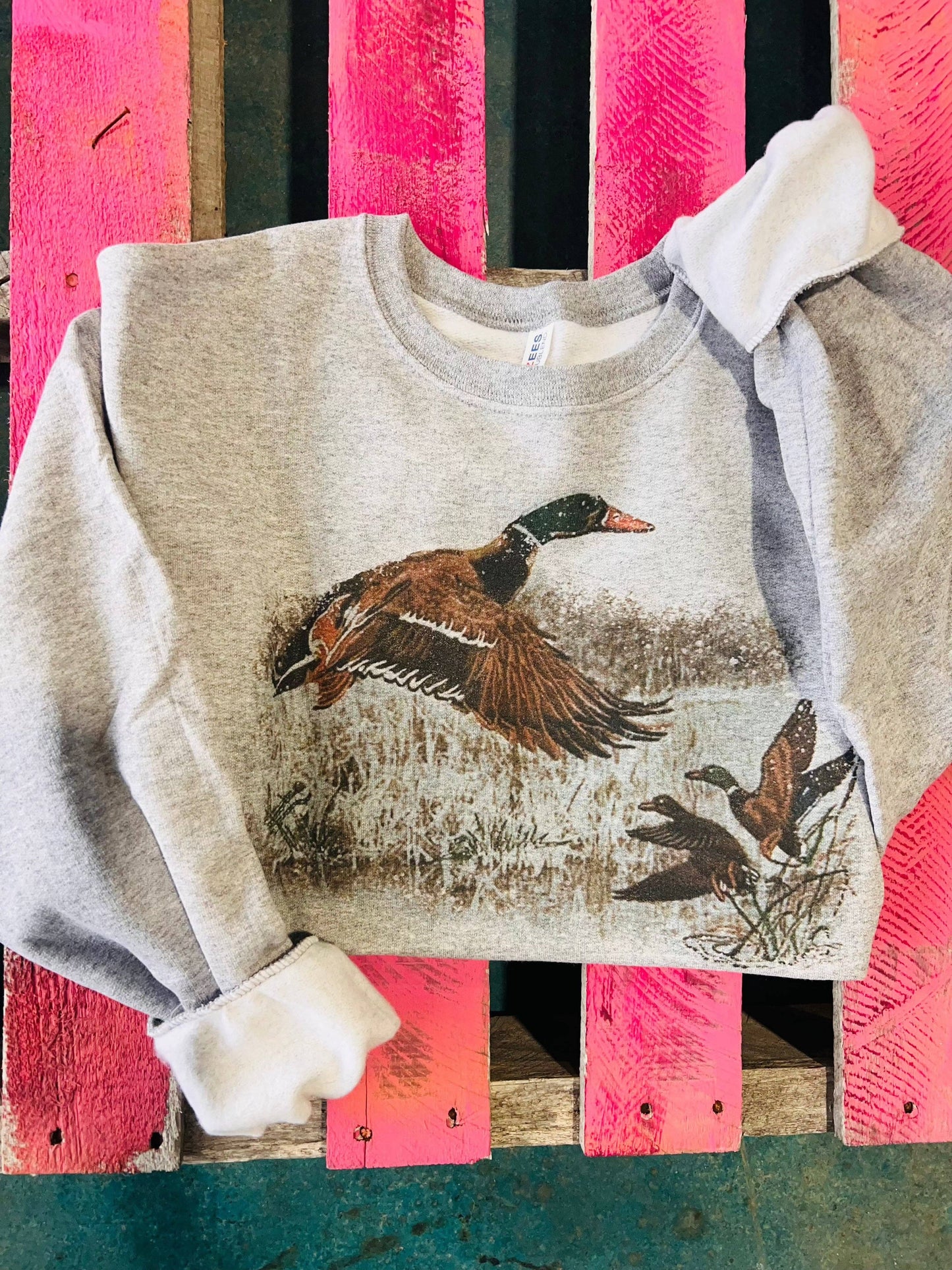 DUCK SCENE