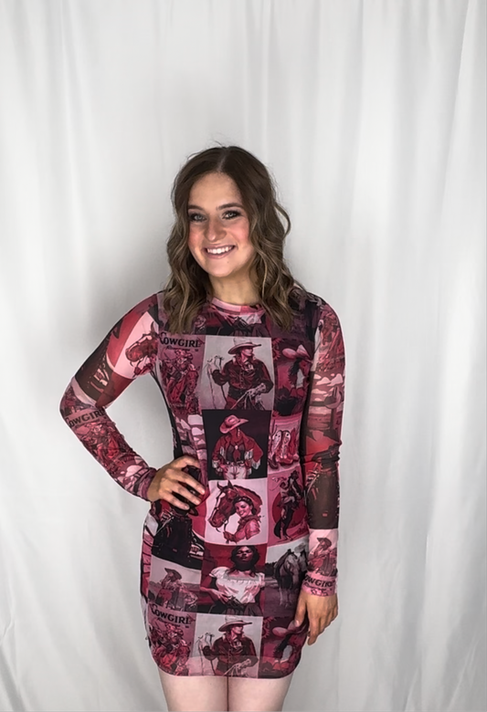 FUSHIA FRONTIER MESH DRESS